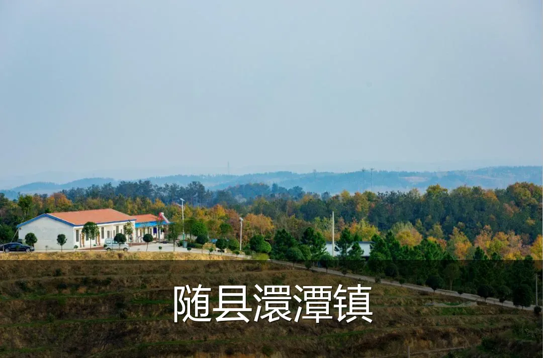 随县澴潭镇